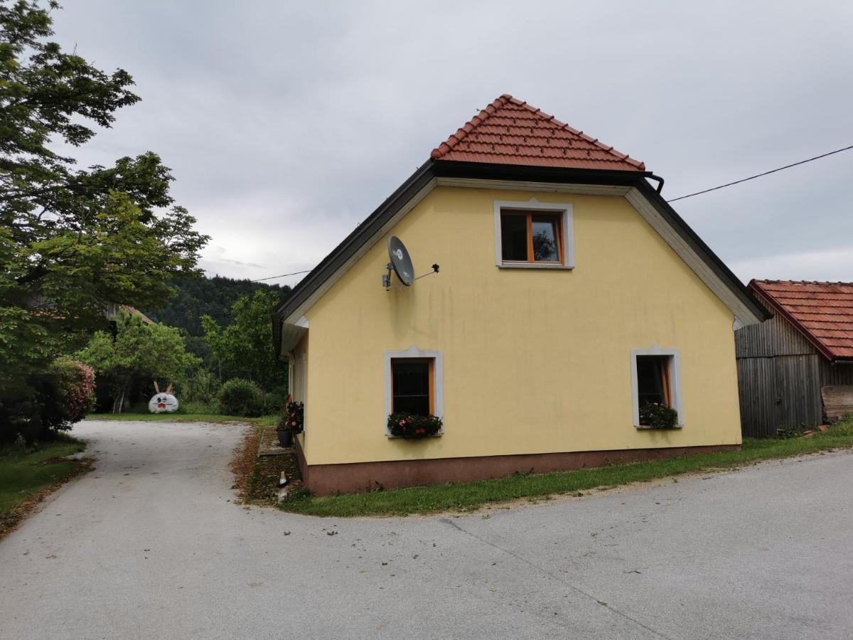 Malina Apartamento Vransko Exterior foto